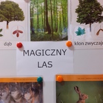 Magiczny Las w Barszczewie_2.jpg