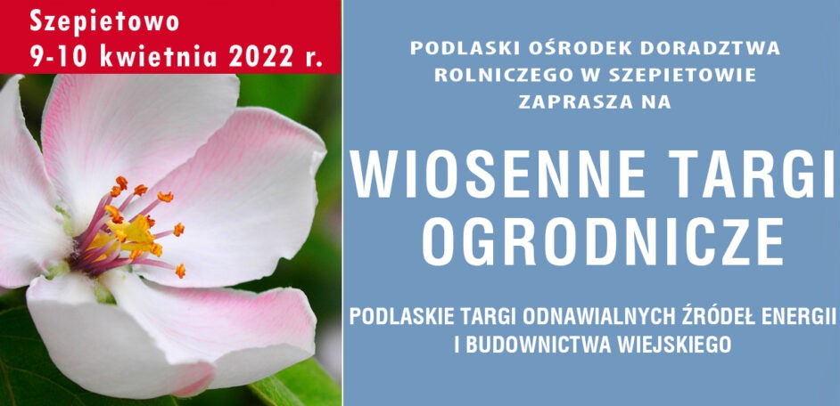 banerWIOSNAwwwduzykopia_banner.jpeg