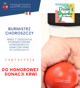 HDK_3IX2023_BANNER.png