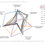 Ranking FInansowy_2023-1.png