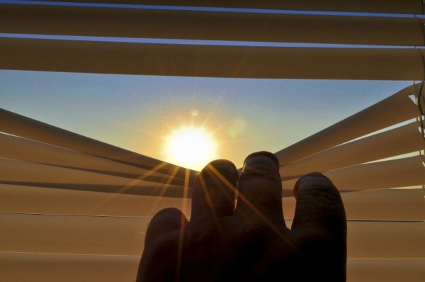 Ilustracja do artykułu blinds-roller-shutter-open-gap-look-sun-morning.jpg
